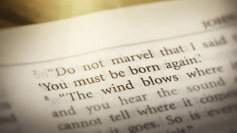 Born Again: What It Means to Be Reborn in Christ