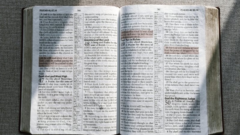The Best Bible Verses to Memorize as a New Christian