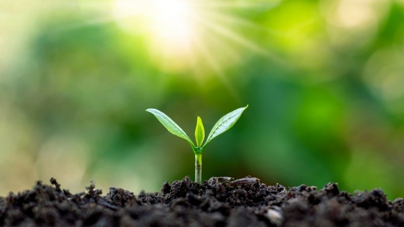 How to Grow Spiritually Every Day